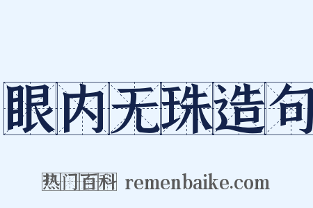 眼内无珠造句是什么意思的图片